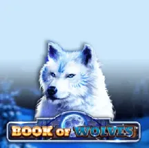 Book Of Wolves на Vbet